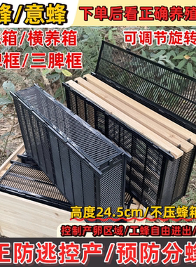 囚王中意蜂王产卵控制器蜜蜂防分蜂巢框巢础中锋隔王板双排控王笼