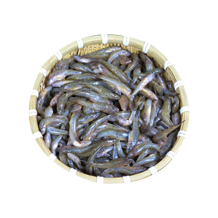 微山湖新鲜山根鱼活鱼现杀速冻山坑鱼鲜鱼趴地虎