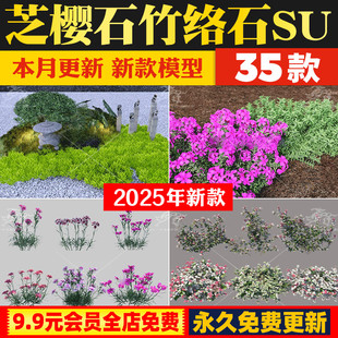 芝樱丛生福禄考欧石竹花叶络石佛甲草春羽圆锥绣球八角金盘SU模型