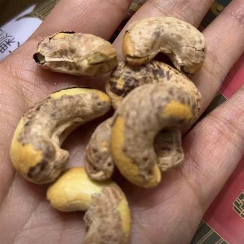 -新日期每果时光特大带皮腰果罐装即食盐焗紫衣越南坚果孕妇零食