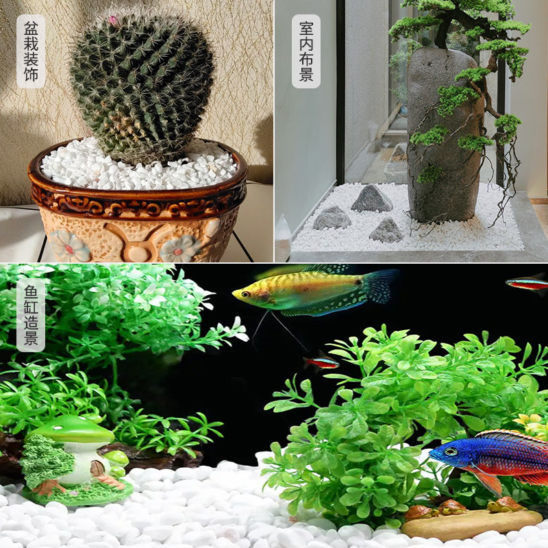 精抛白鹅卵石庭院铺地鱼缸造景白石子室内景观装饰石头0.5-5cm白图片