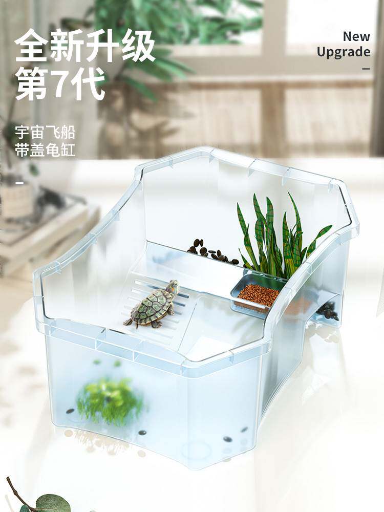 。包邮龟刚 带缸龟缸网红小乌龟活物活体龟盆巴西龟宠物龟中华草