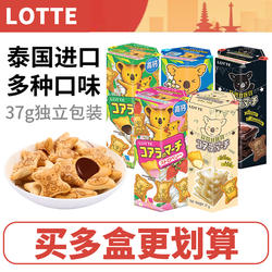 Lotte乐天小熊饼干37g独立包装进口夹心巧克力熊仔饼休闲儿童零食