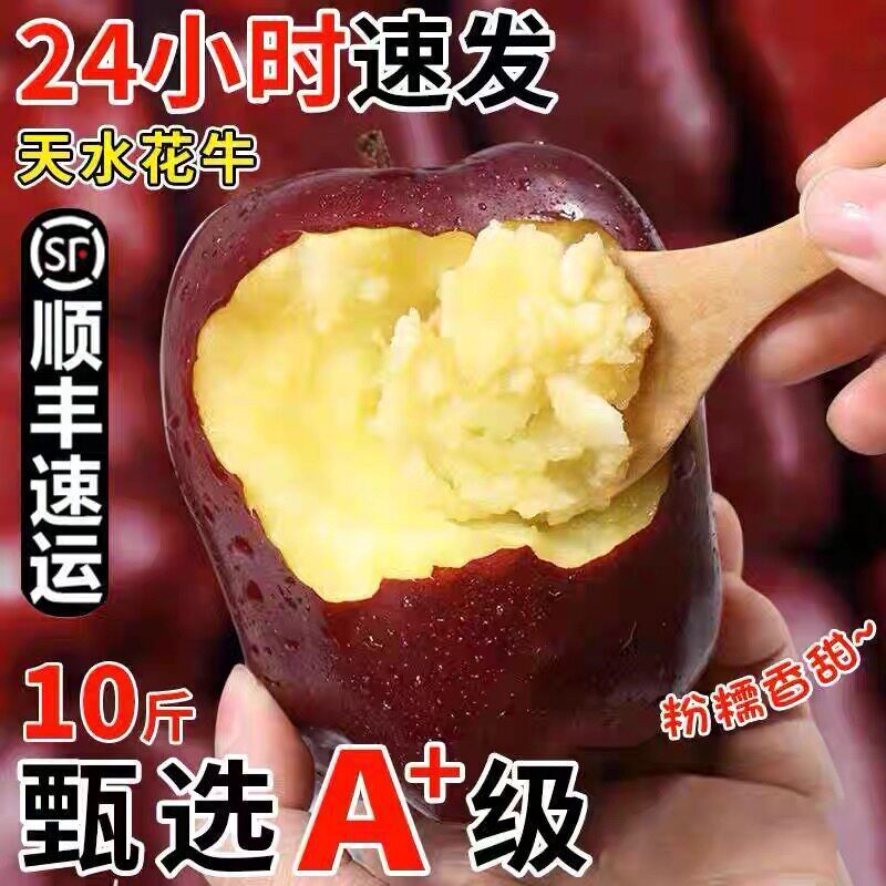 顺丰正宗甘肃天水花牛苹果蛇红果小孩老人粉脆面沙甜苹果新鲜水果