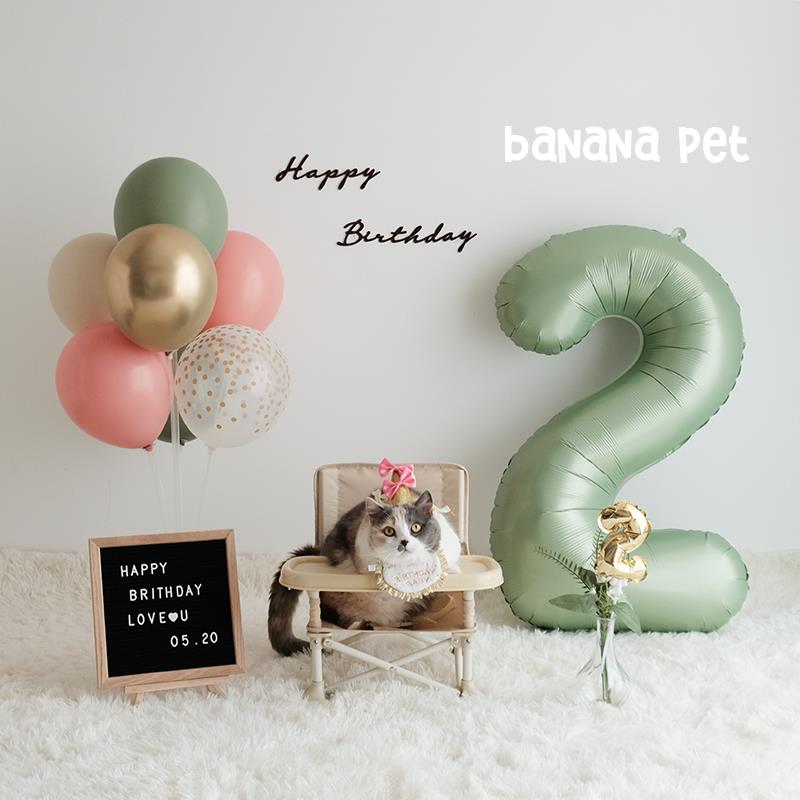 宠物派对猫咪狗狗生日复古粉绿桌飘彩色爱心气球装饰布置拍照道具