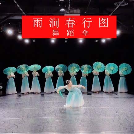 雨涧春行图古典舞蹈伞走秀伞傣族舞演出伞道具伞透明绢纱伞跳舞伞