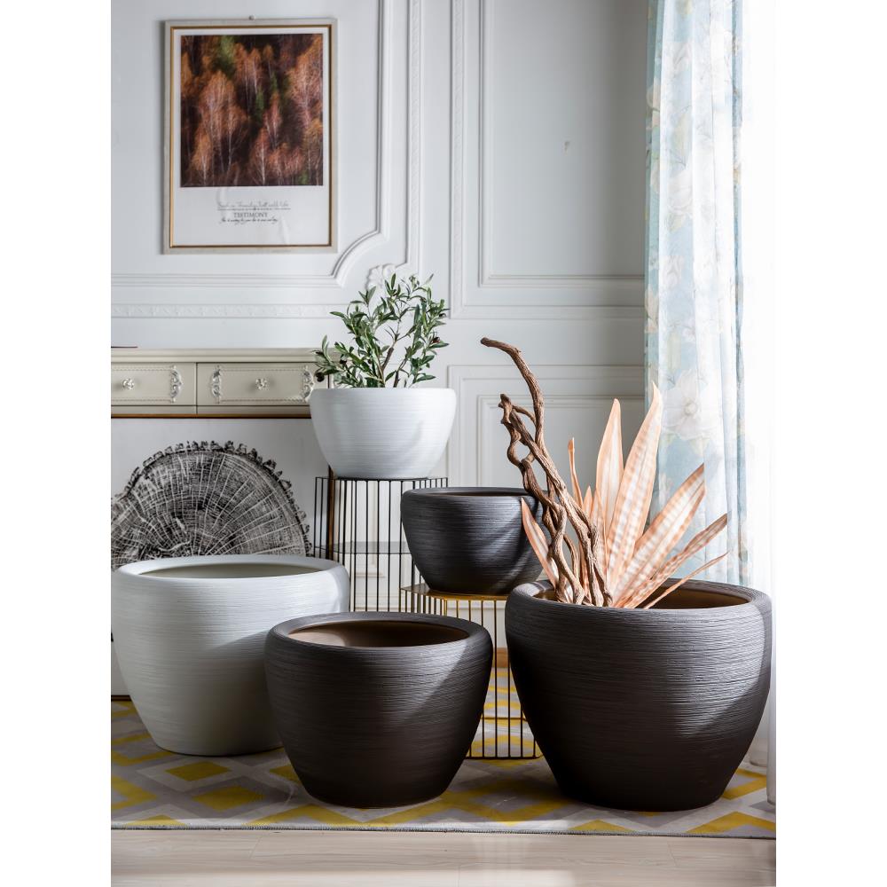 景德镇陶瓷花盆碗水培莲睡