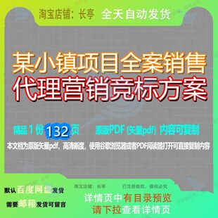 某小镇项目全案销售代理营销竞标方案132页 项目方案资料文档优