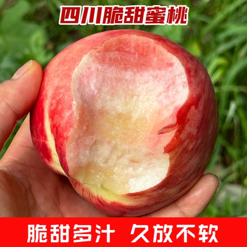 四川脆甜蜜桃当季新鲜水果