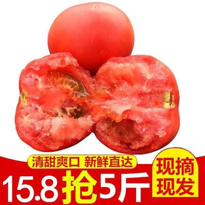 四川大凉山西昌新鲜番茄5斤整箱新鲜农家蔬菜西红柿红果偏厚