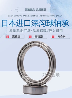 NTN日本进口深沟球6000 6001 6002 6003 6004 6005 6006ZZ LU轴承