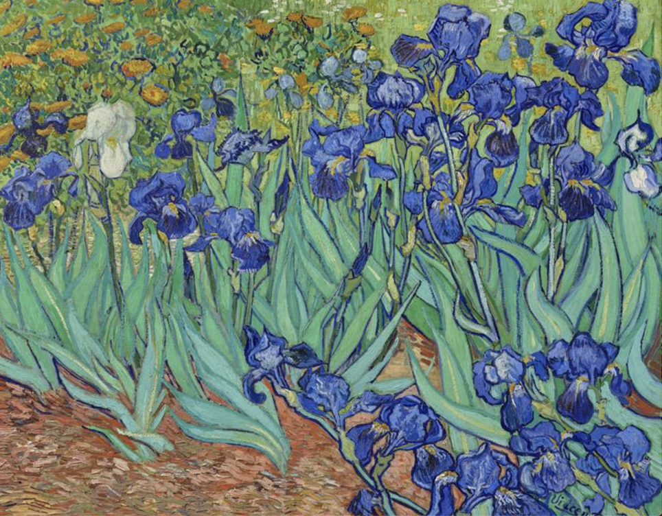 鸢尾花 irises 梵高作品33.74m高清图片素材