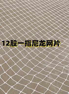 尼龙网片半成品棉线柔软不伤鱼定做拉网拖网清塘网抬网网箱搬筝网