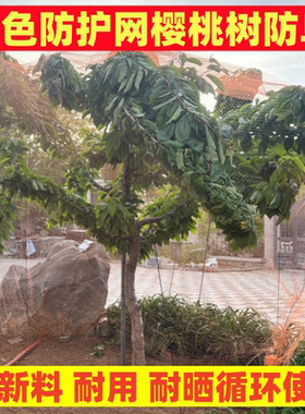 新橘色小孔果园果树樱桃树防鸟网葡萄抗老化大棚农用防鸟网耐用防