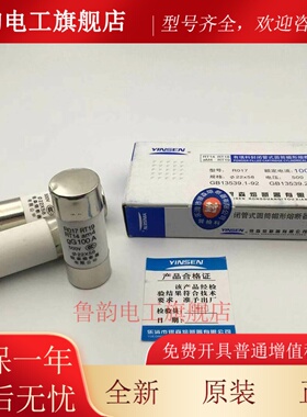 银森22X58陶瓷保险丝管保险丝Ro17 Rt19保险丝R017 63 100 125A