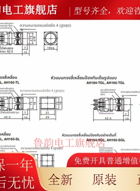 16mm按钮开关AH164 AH165-TL SL L5 E3 G R W11E3
