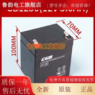 杭西奥电梯救援装置蓄电池松闸电源CGB武汉长光CB1250/1270/1240