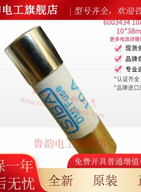 SIBA保险丝管6003434 4/6/8/10/12/16/20/25/30A 600V grl 10*38