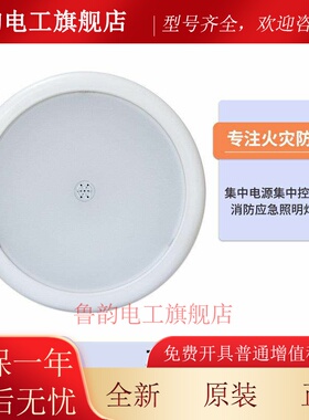 海湾吸顶疏散照明灯N653 N654 N655 N656 N657集控消防应急照明灯