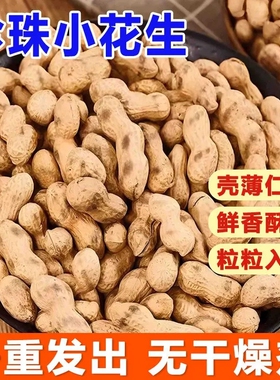 原味小珍珠带壳花生薄皮现炒新货香脆大颗粒花生坚果零食炒货批发