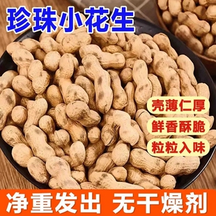原味小珍珠带壳花生薄皮现炒新货香脆大颗粒花生坚果零食炒货批发