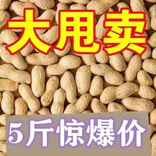 农家铁锅炒花生花生2024年新货带壳熟花生口感香脆零食炒花生原味
