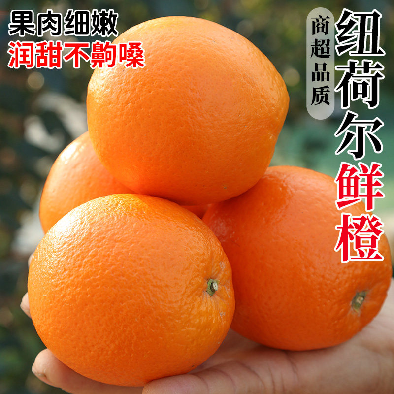 正宗秭归脐橙高山橙子应季水果当季新鲜多汁榨汁专用手剥橙香橙