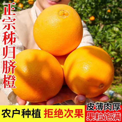 秭归脐橙手剥鲜橙10斤大果