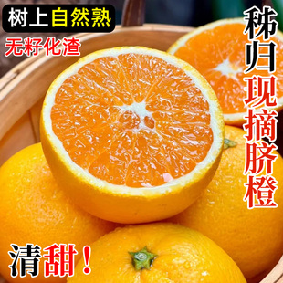 秭归脐橙新鲜当季时令水果湖北10斤纽荷尔包邮果冻赣爱南媛橙整箱