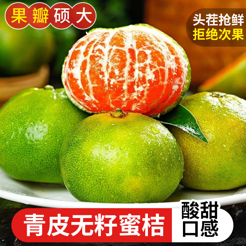 正宗宜昌蜜桔新鲜青皮无籽早熟橘子蜜橘桔子孕妇水果柑橘当季时令