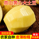 恩施大土豆10斤新鲜 农家黄心士豆湖北马铃薯批发蔬菜高山洋芋 包邮