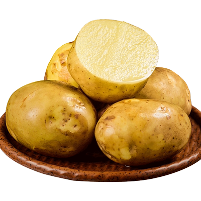 恩施黄皮黄心大土豆新鲜现挖