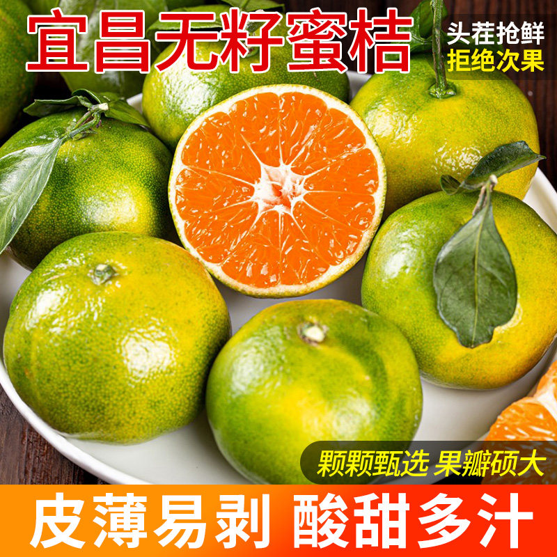 宜昌正宗青皮蜜橘无籽蜜桔当季水果时令新鲜柑橘橘子桔子现摘鲜果