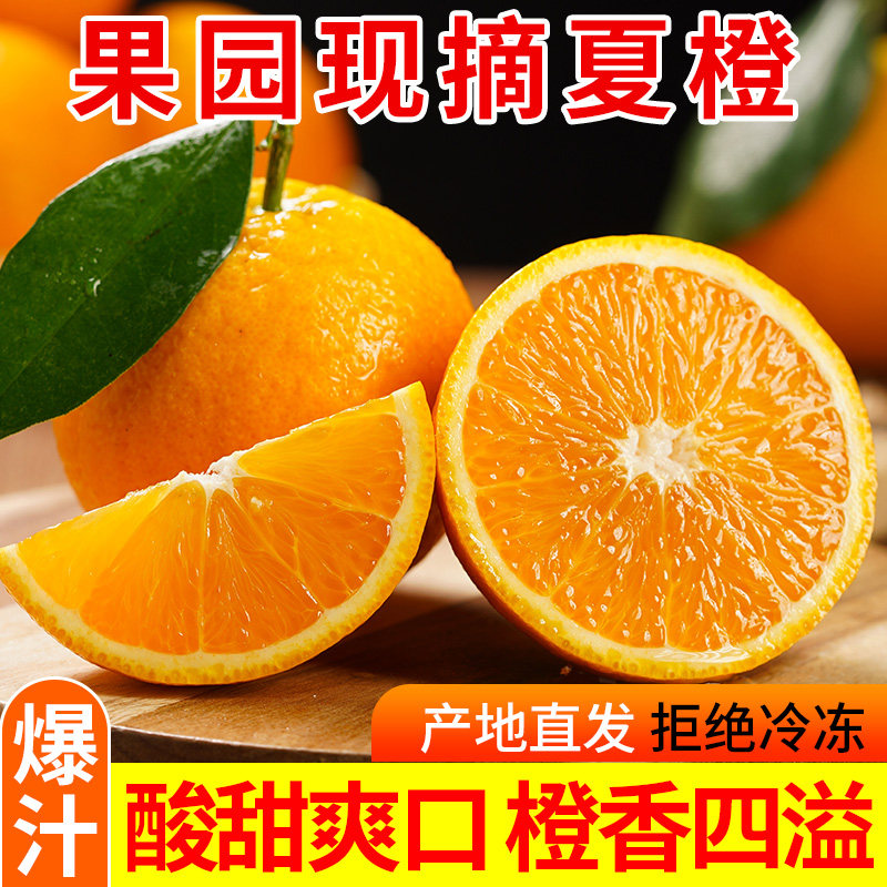 正宗秭归夏橙高山橙子应季水果当季新鲜酸甜多汁榨汁整箱商用批发