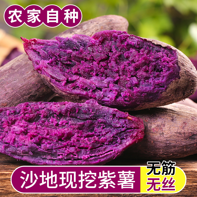 紫薯紫罗兰番薯地瓜红薯