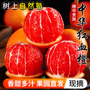 【楚川旗舰店】血橙中华红肉橙子3斤-9斤