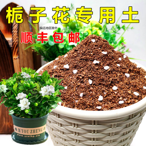 彤庭布艺床价格 彤庭布艺床图片 星期三