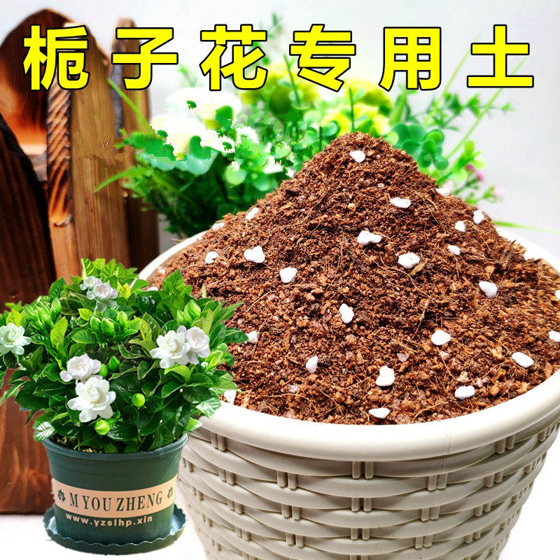 栀子花弱酸性种植园透气专用土图片