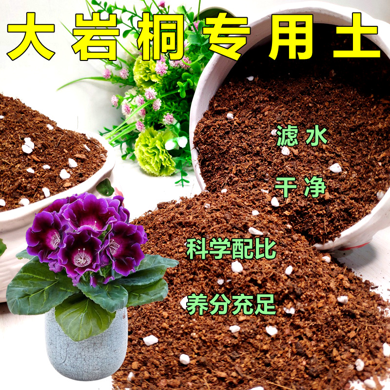 大岩桐花卉弱酸性家庭园艺专用土