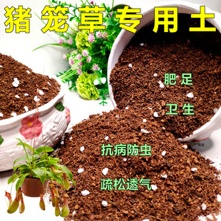 猪笼草专用土猪仔笼吊兰盆栽通用型营养土有机土花卉换盆花泥特价