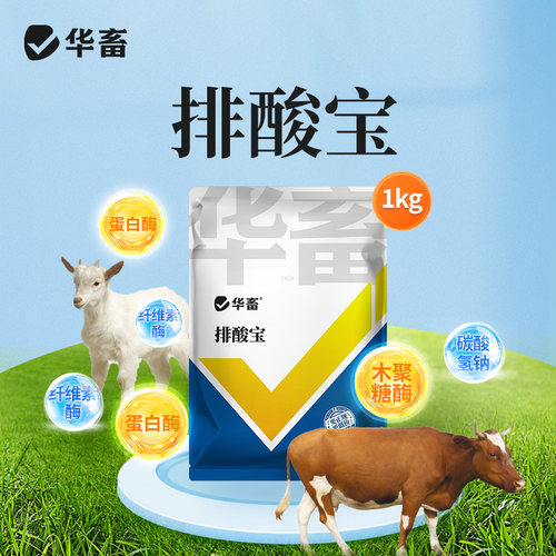 DB华畜排酸宝牛羊中和胃酸瘸腿腐蹄护肠道酸中毒流口水吐白沫