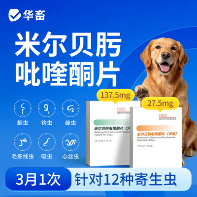 华畜狗狗体内全阶段驱虫药米尔贝肟吡喹酮片犬用绦虫心丝虫打虫药