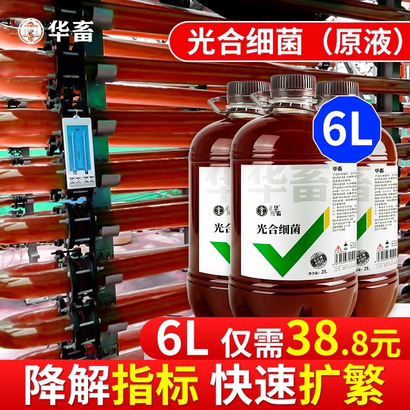 华畜光合细菌水质调节
