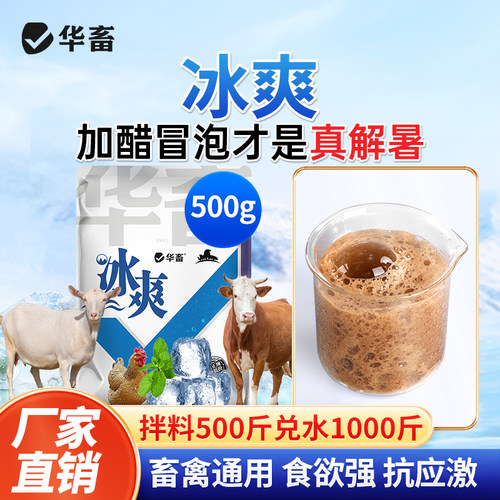 华畜兽用冰爽解暑黑科技抗应激