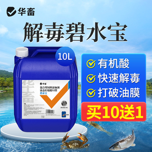 华畜碧水宝解毒泡腾片水产养殖解毒剂鱼池虾蟹塘调水除油膜解毒王
