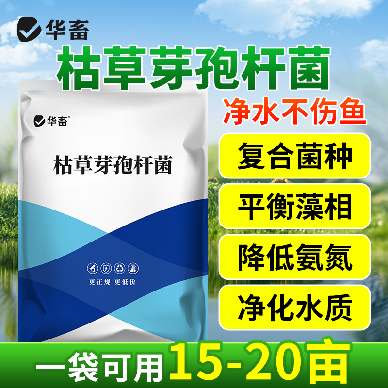 华畜枯草芽孢杆菌菌种水产养殖专用菌原种菌粉虾蟹塘活菌em益生菌