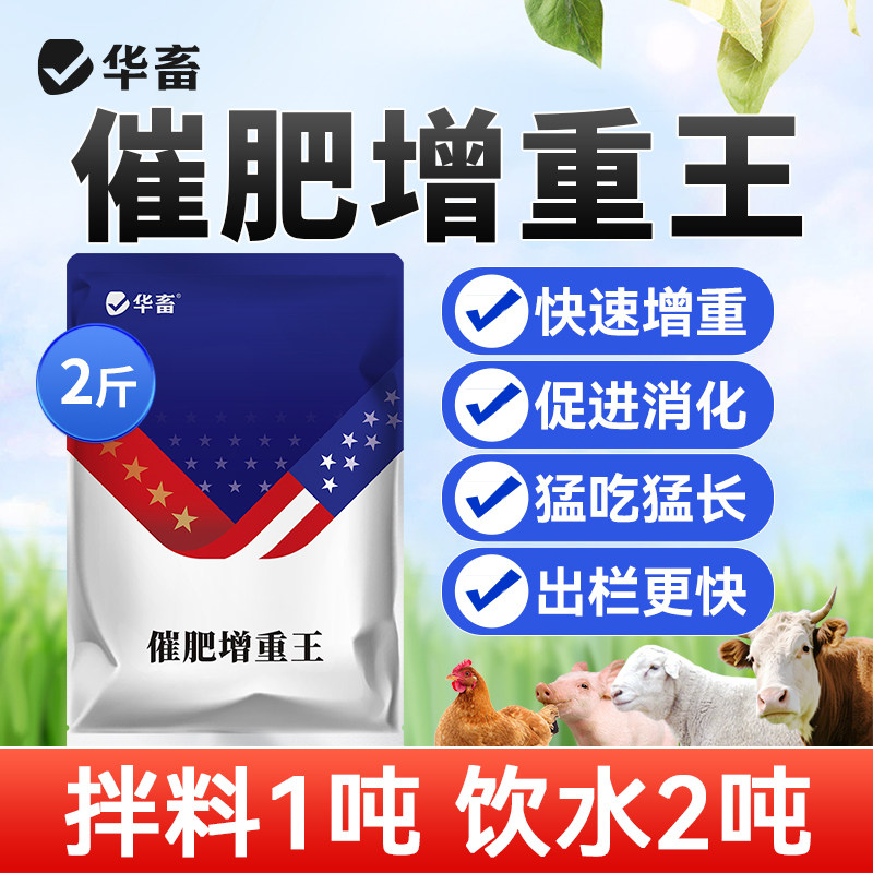 DB华畜催肥增重王猪用催肥猛长增肥益生菌牛羊催长素饲料添加剂