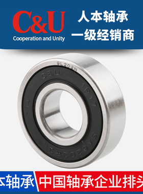 正品人本汽车发电机轴承SA6201 6202 6203 6204  6206  2RSL Z3