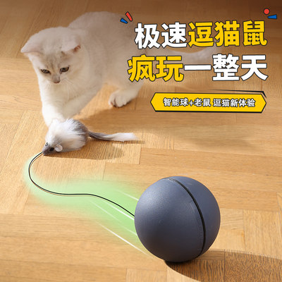 自嗨解闷猫玩具小猫同学