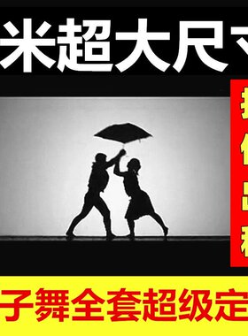 影子舞道具幕布投影灯全